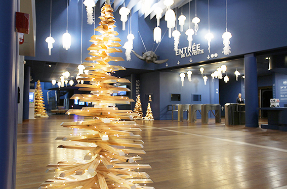 Marcel_et_Eugene_Sapin_de_Noel_Collectivites